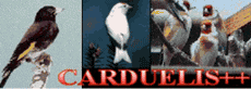 Carduelis++