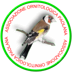 Associazione Ornitologica Paolana
