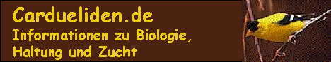 Informationen zum Cardueliden