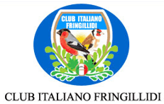 Club dei Fringillidi