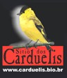Stio dos Carduelis