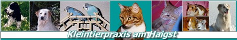 Kleintierpraxis am Haigst