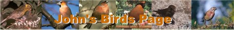 John's Birds Page