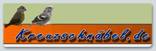 Kreuzschnäbel