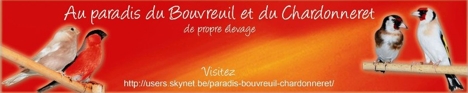 Au paradis du Bouvreuil