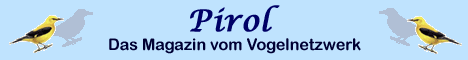 Das Magazin Prirol 