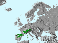 Verbreitung des Zitronengirlitz