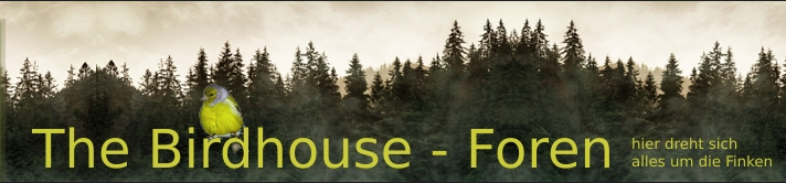 THE BIRDHOUSE Foren