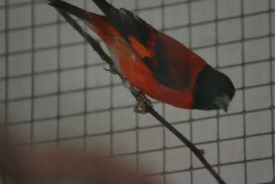 24 03 07 isketeler09 24 03 07 isketeler09
