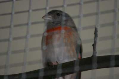 24 03 07 isketeler12 24 03 07 isketeler12