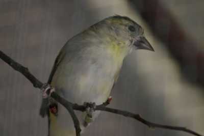 24 03 07 isketeler11 24 03 07 isketeler11