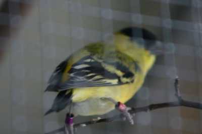 24 03 07 isketeler19 24 03 07 isketeler19